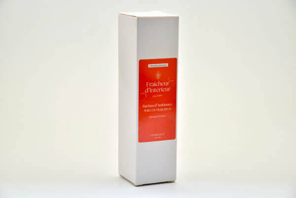 Fraicheur d'intérieur Diffuseur Parfum d'Ambiance 100 ml – Image 2